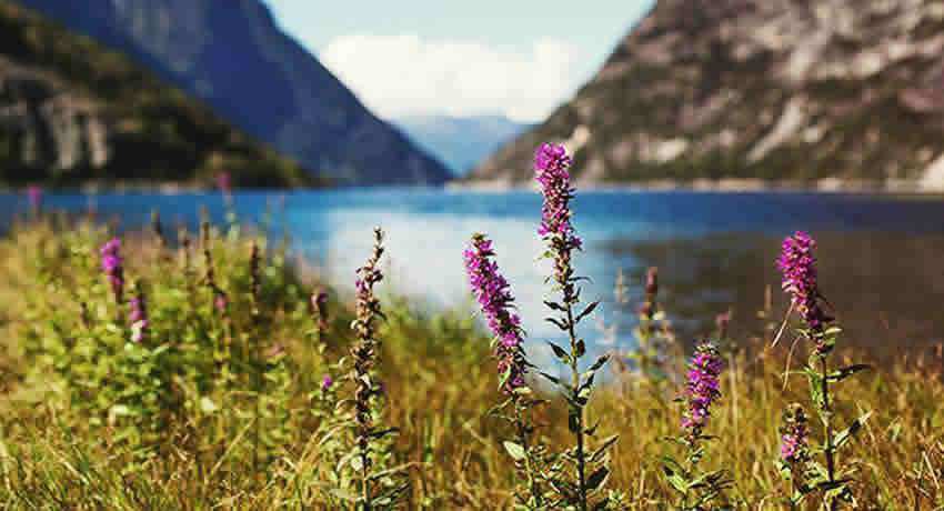 Film Effect Photoshop Action