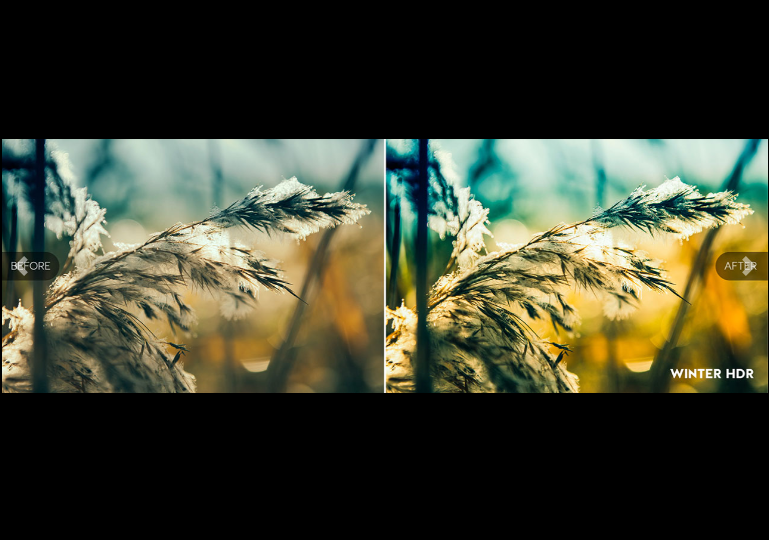 Winter Wonderland Preset