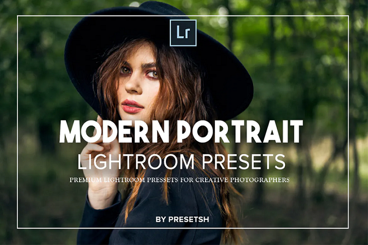 Modern Portrait Presets